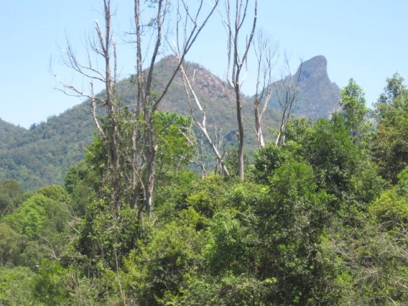 81 Braeside Drive, Uki NSW 2484