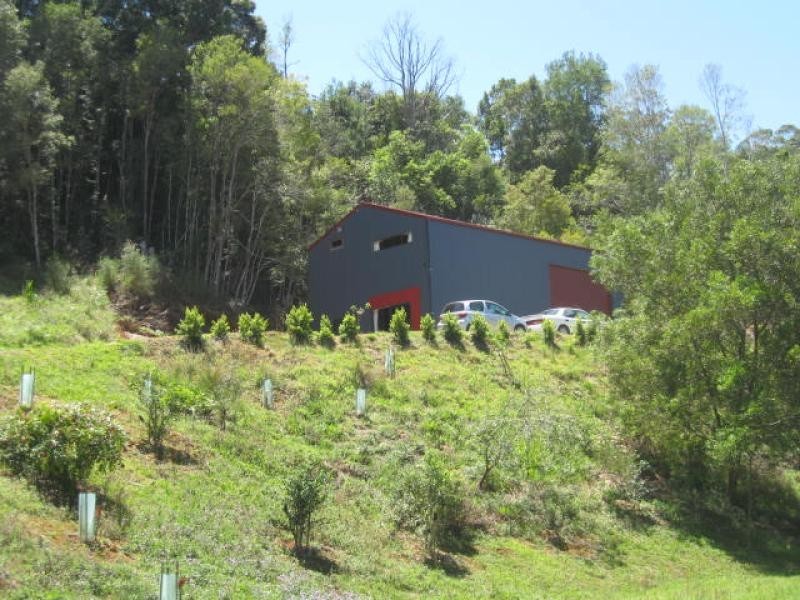 81 Braeside Drive, Uki NSW 2484