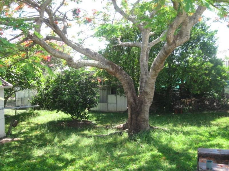 8 Thompson Street, Murwillumbah NSW 2484