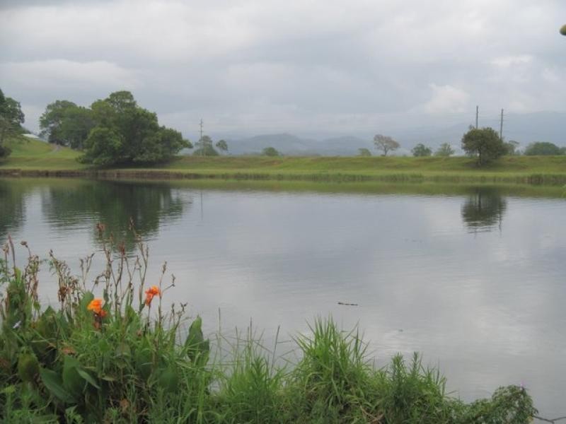 193 Tweed Valley Way, Murwillumbah NSW 2484