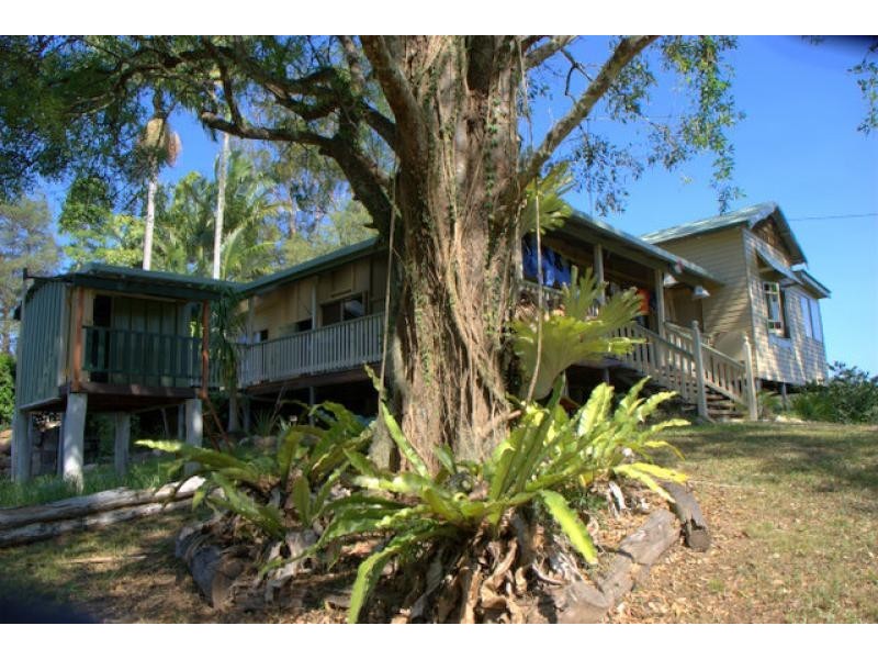 197 Rowlands Creek Road, Uki NSW 2484