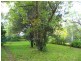 Numinbah NSW 2484