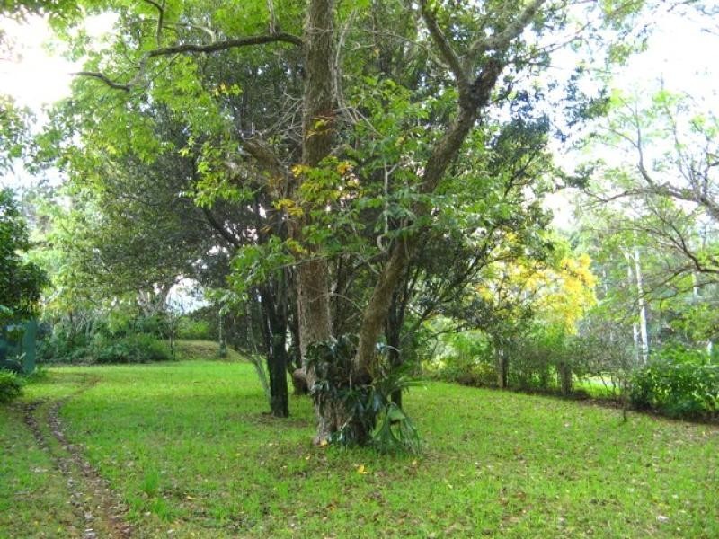 Numinbah NSW 2484
