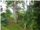 North Tumbulgum NSW 2490