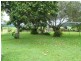 Murwillumbah NSW 2484