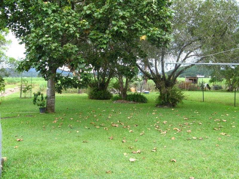 Murwillumbah NSW 2484