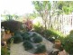 Murwillumbah NSW 2484