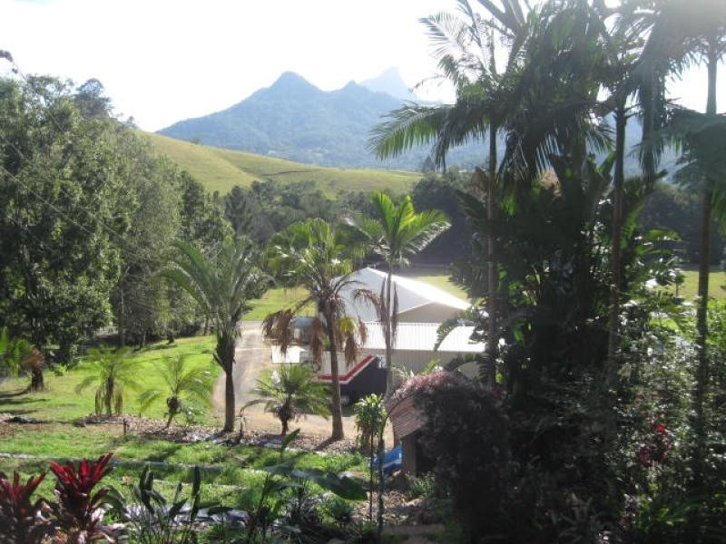 61 Rowlands Creek Road, Uki NSW 2484