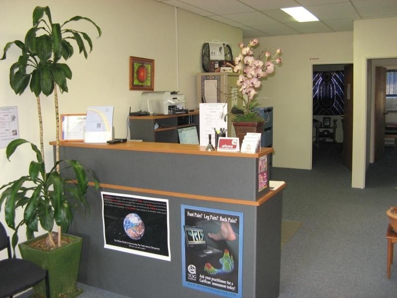 Murwillumbah NSW 2484