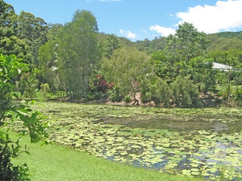 23 Pinegold Place, Nunderi NSW 2484