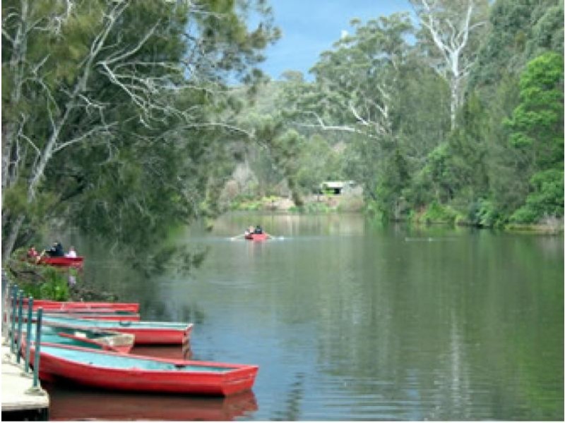 126 MILLWOOD AVENUE, Chatswood NSW 2067