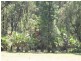 Tomerong NSW 2540