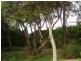 Vincentia NSW 2540