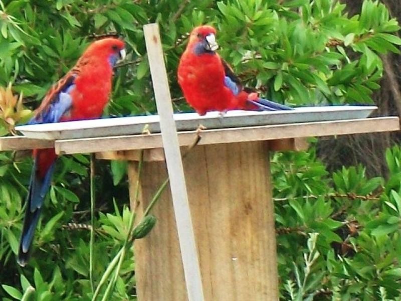 48 Argyle Street, Vincentia NSW 2540