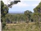 Tomerong NSW 2540