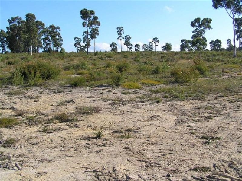 Tomerong NSW 2540
