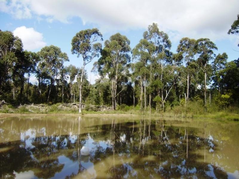 41 Hart Road, Falls Creek NSW 2540