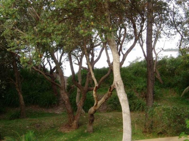 154 Elizabeth Drive, Vincentia NSW 2540