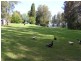 23 Deane Street, St Georges Basin NSW 2540
