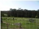 93 PINEFOREST ROAD, Tomerong NSW 2540
