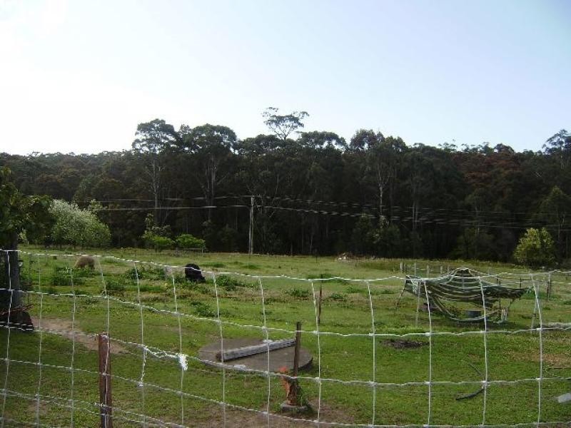 93 PINEFOREST ROAD, Tomerong NSW 2540