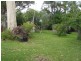 16 High Street, Erowal Bay NSW 2540