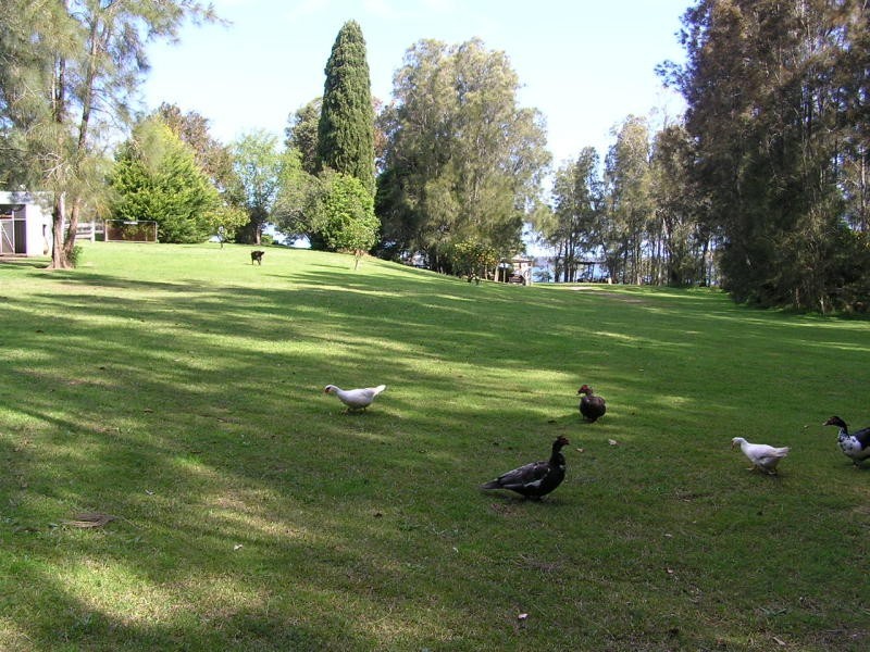 23 Deane Street, St Georges Basin NSW 2540