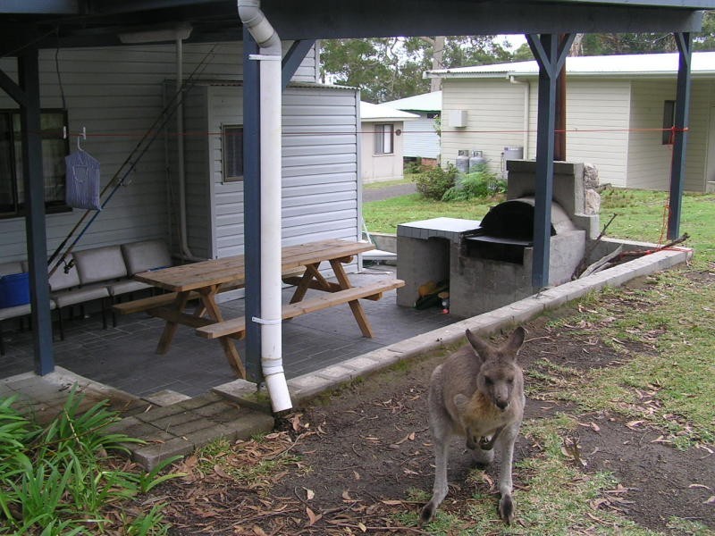 9/66 Wrights Beach Road, Erowal Bay NSW 2540