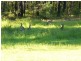 Woollamia NSW 2540