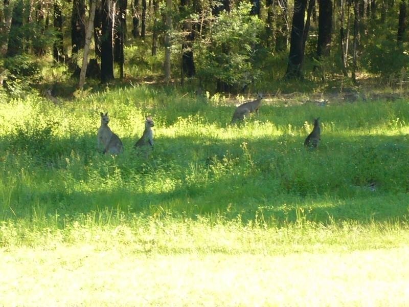 Woollamia NSW 2540