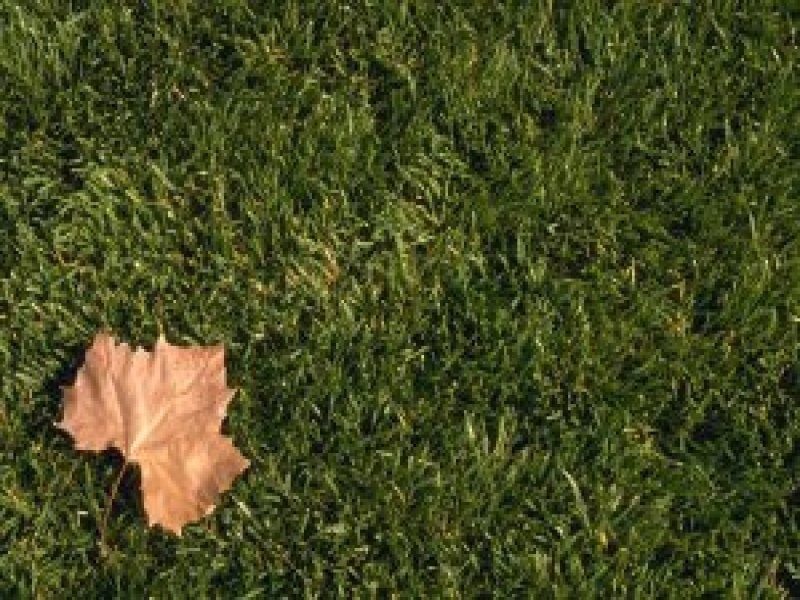 97 The Park Drive, Sanctuary Point NSW 2540