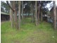 79 Macgibbon Parade, Old Erowal Bay NSW 2540
