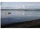Basin View NSW 2540