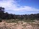 Picton NSW 2571