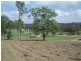 Picton NSW 2571