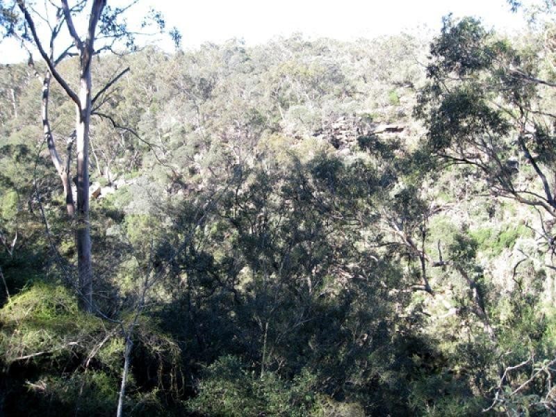 Picton NSW 2571