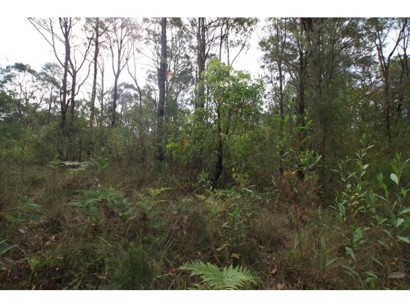 Lot 404 , 49 Treelea Grove, Lakesland NSW 2572