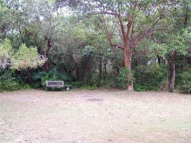 98 Chepana Street, Lake Cathie NSW 2445