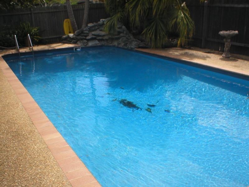 20 The Boom, Port Macquarie NSW 2444