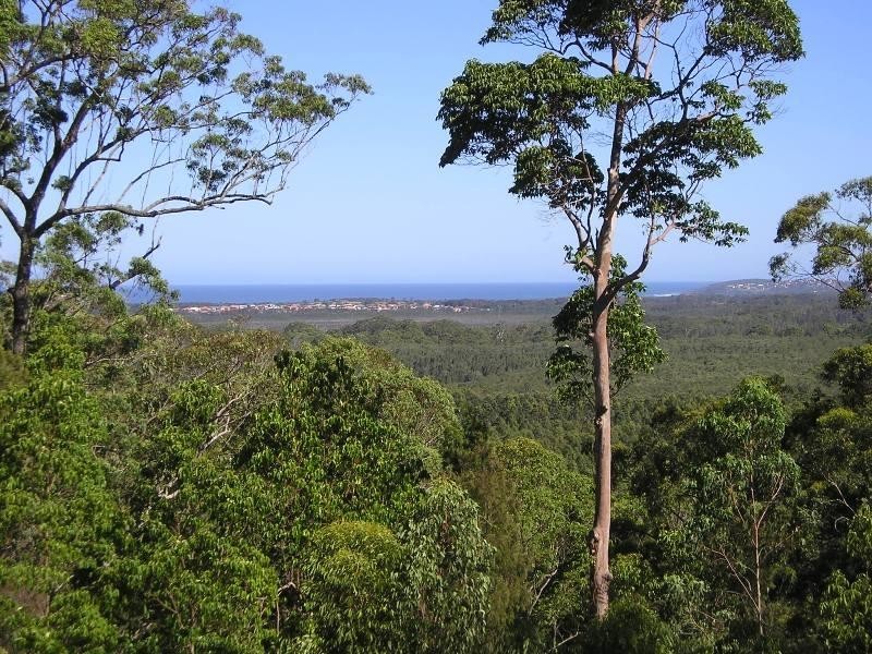 289 Long Point Drive, Lake Cathie NSW 2445