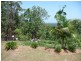 289 Long Point Drive, Lake Cathie NSW 2445