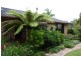 176 Red Hill Road, Telegraph Point NSW 2441