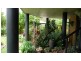 176 Red Hill Road, Telegraph Point NSW 2441