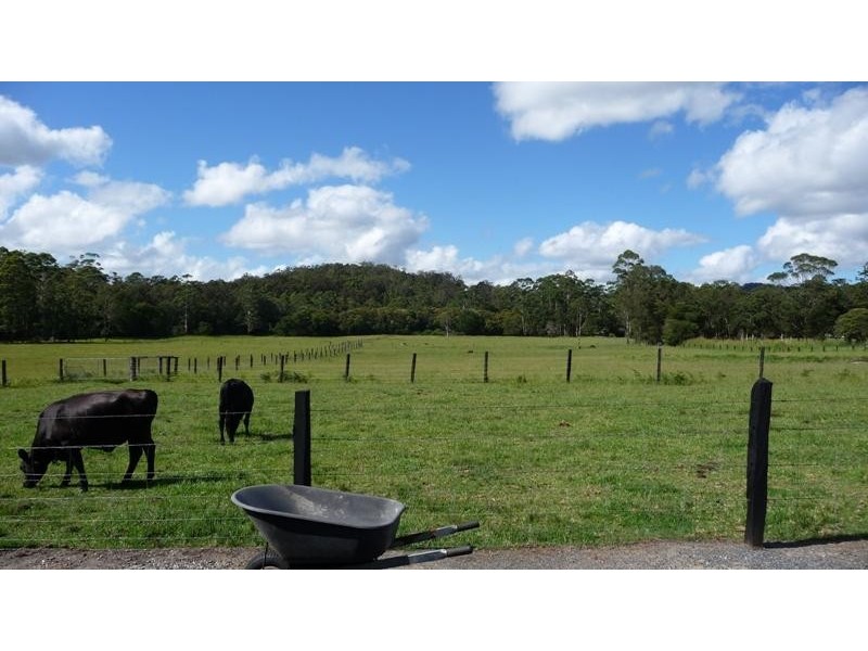 876 Cooperabung Drive, Telegraph Point NSW 2441