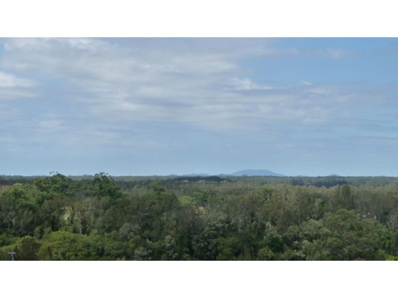38 Rollands Plains Road, Telegraph Point NSW 2441