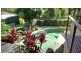 12 Flintwood Terrace, Port Macquarie NSW 2444