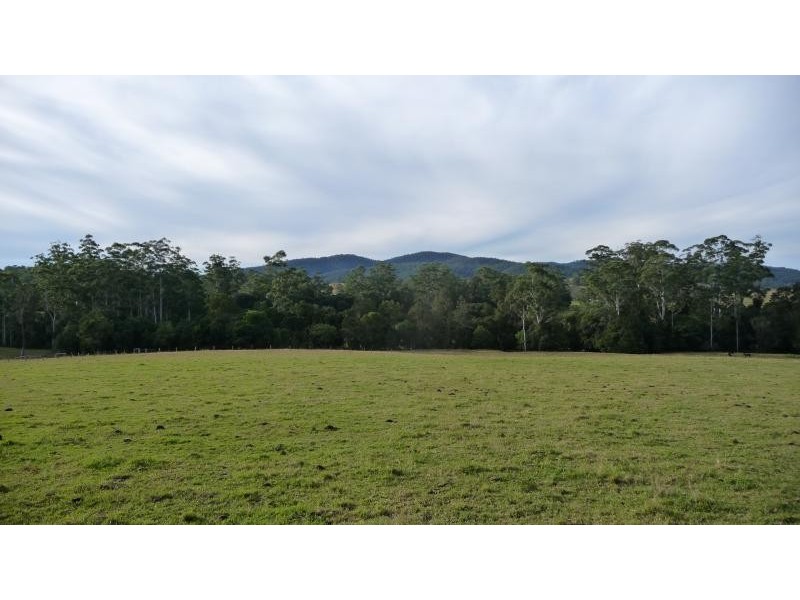74 Bril Bril Road, Rollands Plains NSW 2441