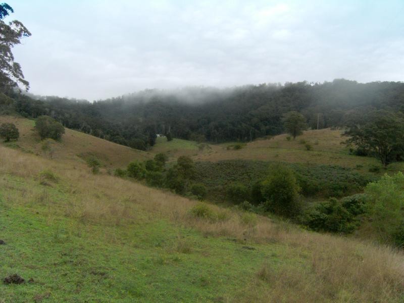 359 Tilbaroo Crossing, Toms Creek NSW 2446