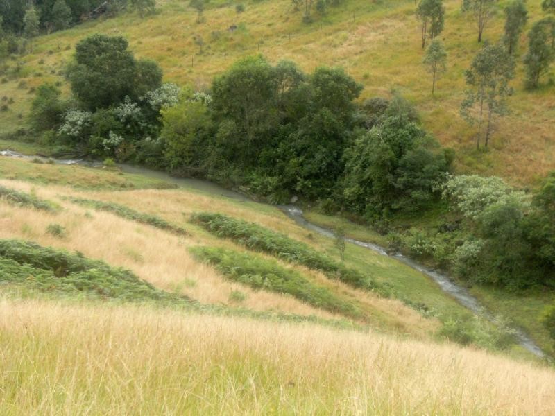 359 Tilbaroo Crossing, Toms Creek NSW 2446