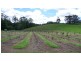 623 Batar Creek Road, Middle Brother NSW 2443